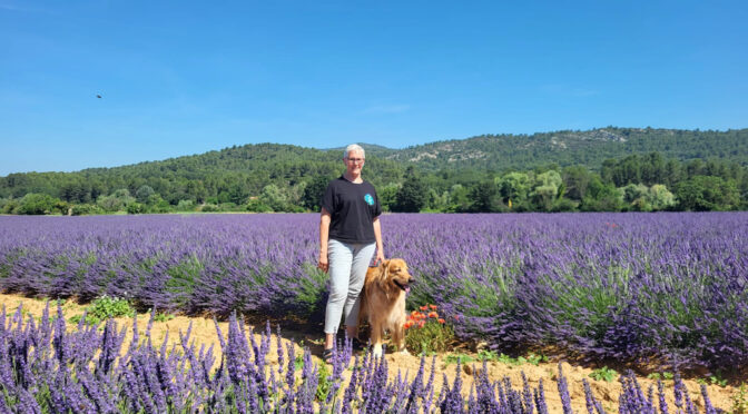 Impressionen aus der Provence